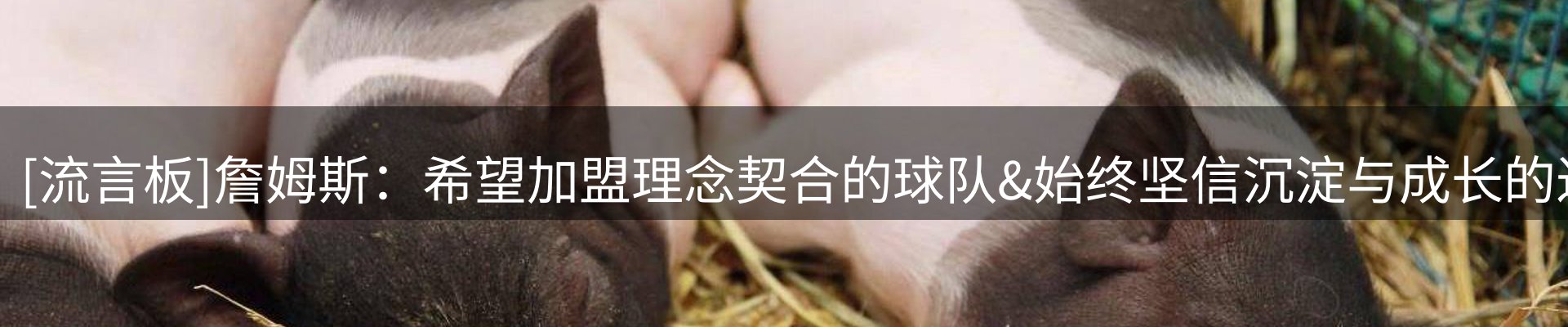新闻中心